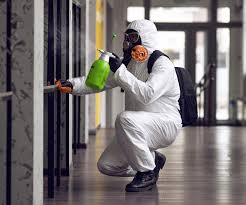 Best Mold Remediation for Healthcare Facilities  in Preston, ID